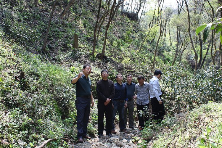 1472005297282804.jpg 副市長吳文達2.jpg