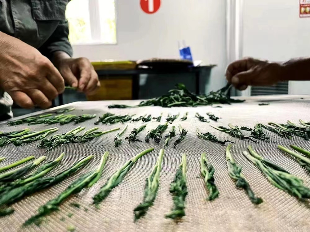 1692491665494131.jpg 6c3d254e71c491e3c01d801c354532c.jpg